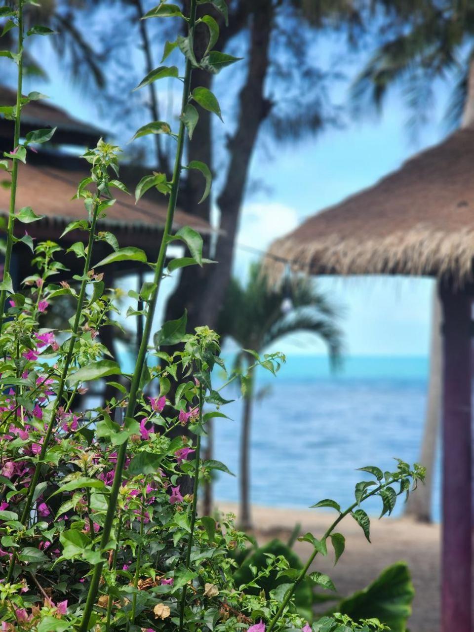 A Little Bungalows By Beach Amphoe Koksamui Exterior foto